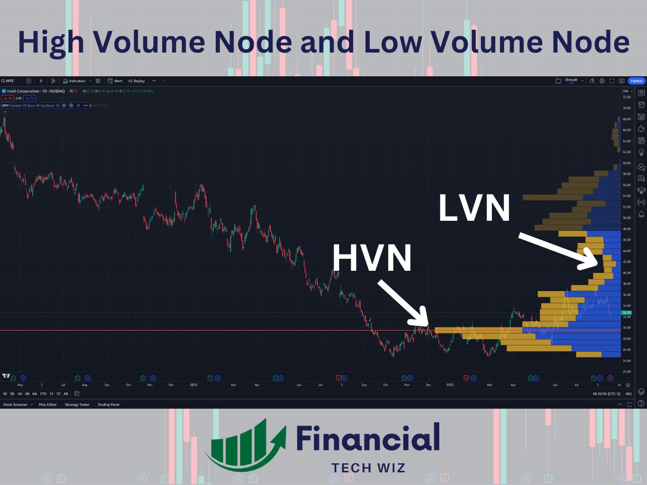 hvn and lvn